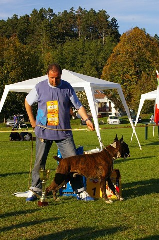 www.boxer-show.eu
